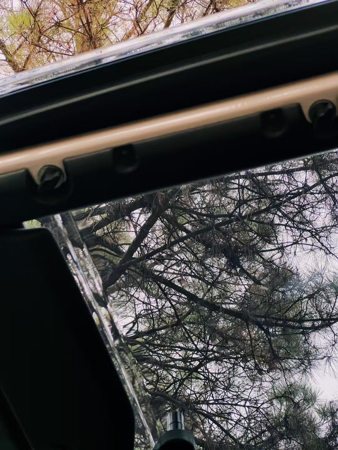 Stargaze Clearview Freedom Panel for Wrangler JL/Gladiator JT