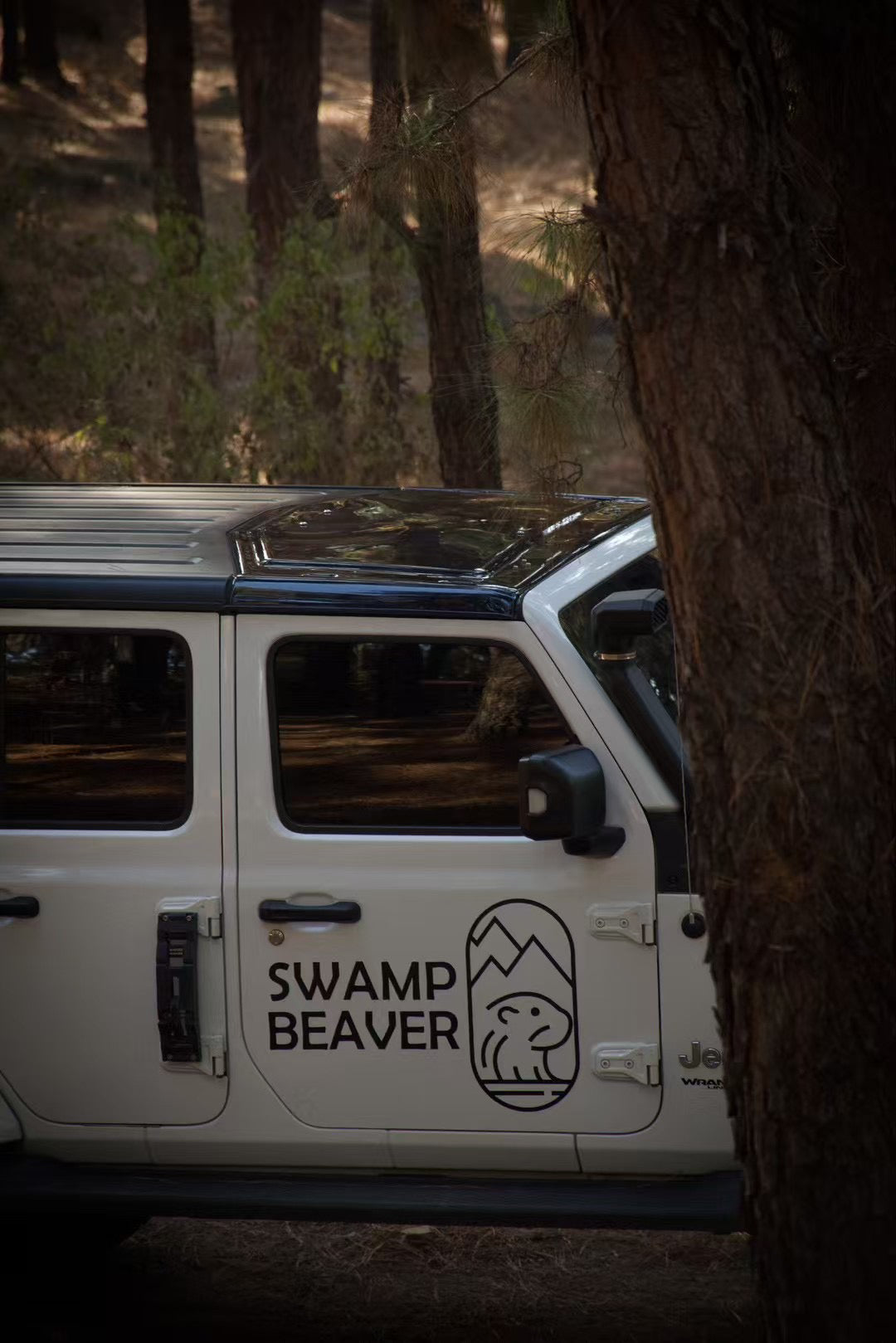 Stargaze Clearview Freedom Panel for Wrangler JL/Gladiator JT